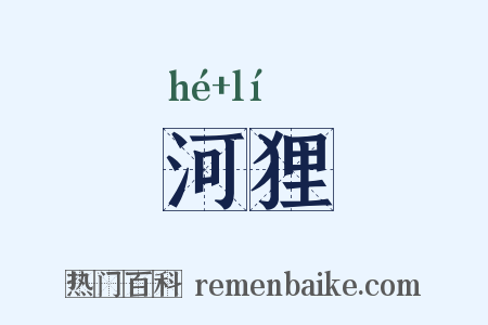 河狸是什么意思的图片